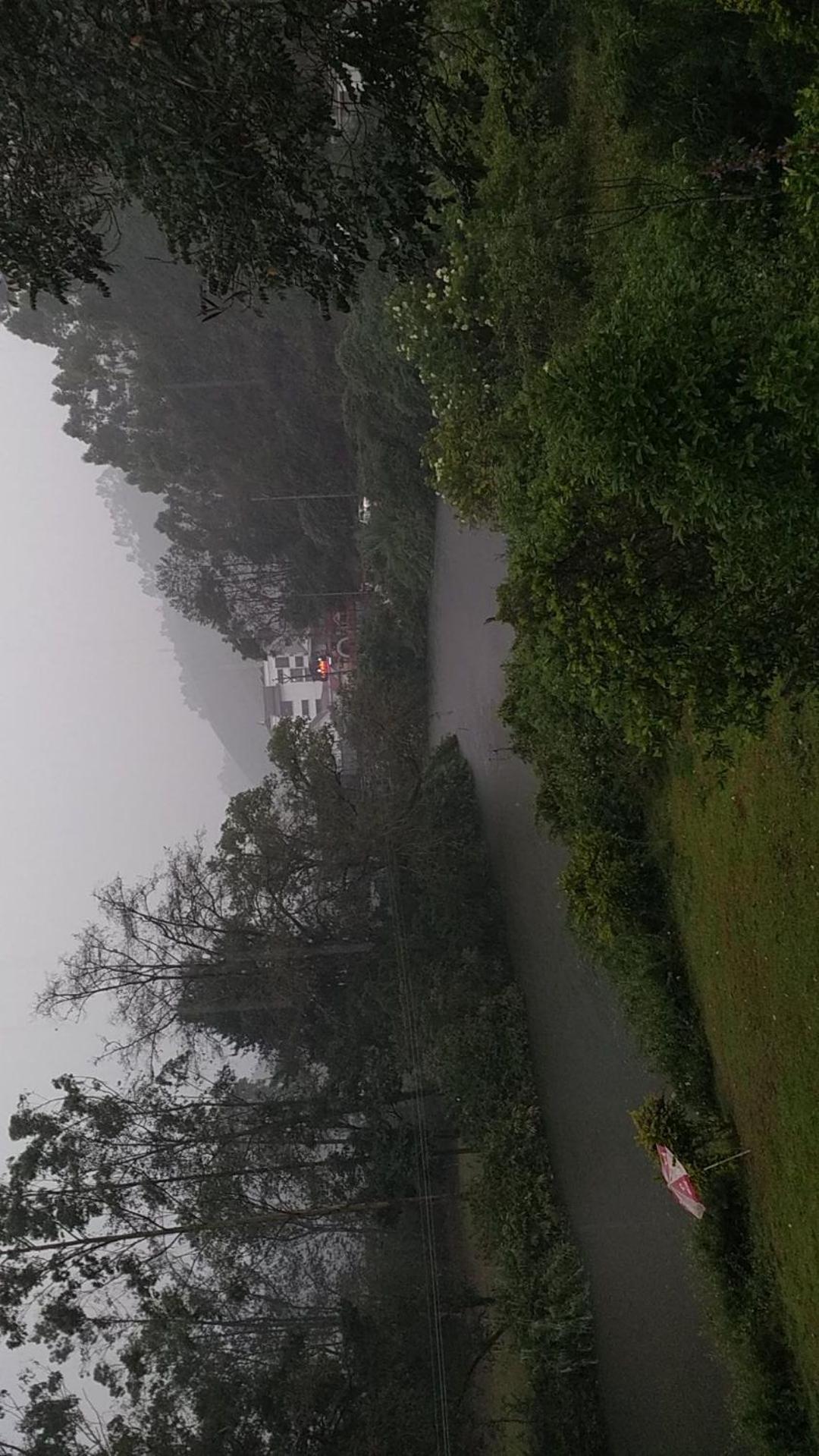Sisiram River Side Munnar Exterior photo